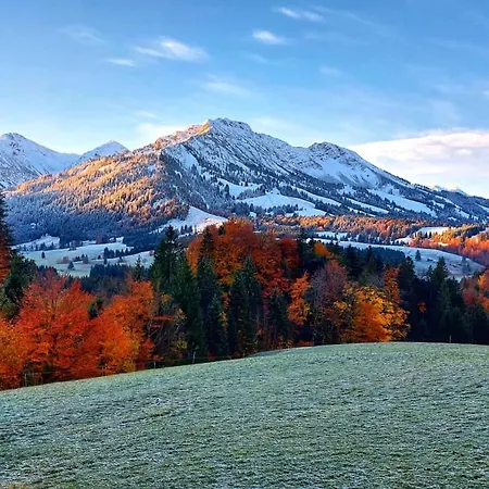 Apartment Haus Edelweiss Bad Hindelang