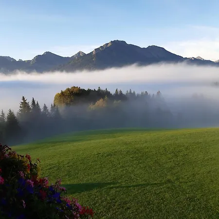 Lägenhet Haus Edelweiss